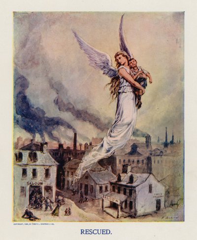 Rescued (barevná litografie) od Frank Beard