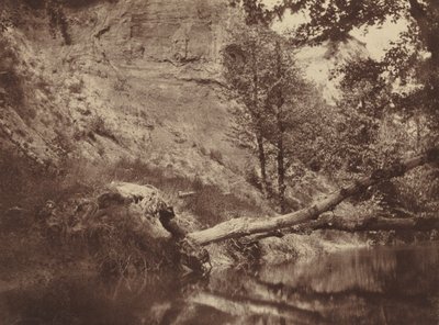 Riverbank,c. 1855 (foto) od Frank Chauvassaigne