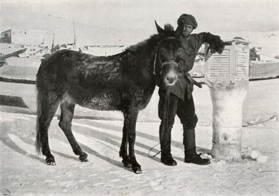 Gran With Mule Lal Khan, c1911, 1913 od Frank Debenham