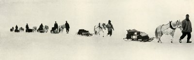 Poníci v březnu 1911, 1913 od Frank Debenham