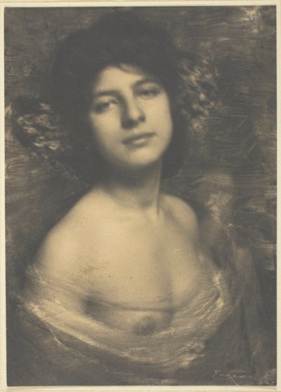 Hortenzie od Frank Eugene
