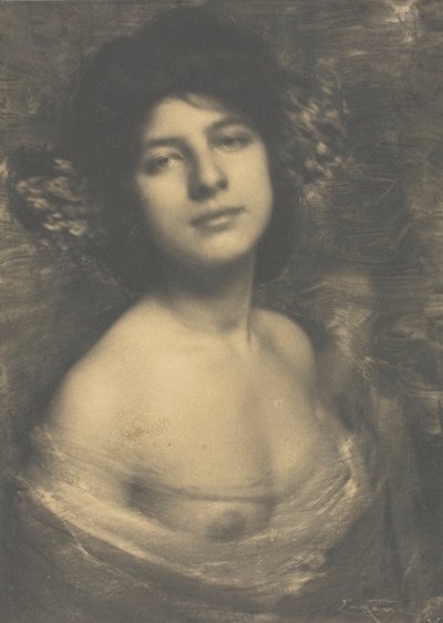 Hortenzie, 1898. od Frank Eugene
