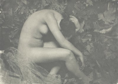 Cikáda, 1898. od Frank Eugene