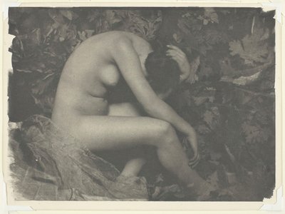 Cikáda, 1898. od Frank Eugene