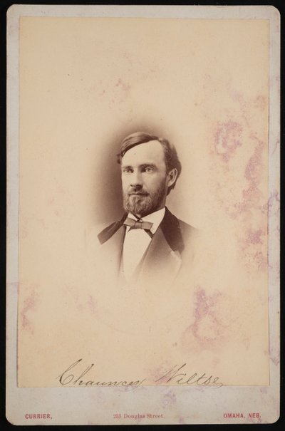 Portrét Chauncey Wiltse 1834-1894, 1875-1876. od Frank F Currier