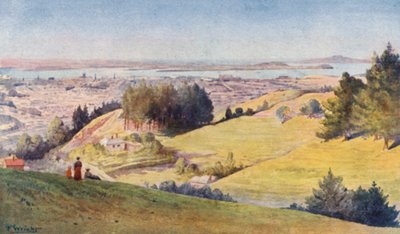Nový Zéland: (barevná litografie) od Frank H Wright