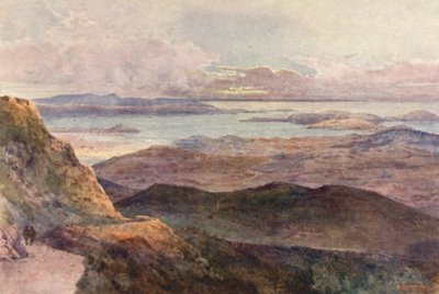 Nový Zéland: Coromandel (barevná litografie) od Frank H Wright