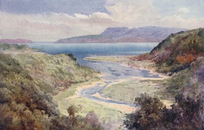 Nový Zéland: Jezero a hora Tarawera (barevná litografie) od Frank H Wright