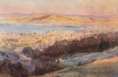 Nový Zéland: Wellington (barevná litografie) od Frank H Wright