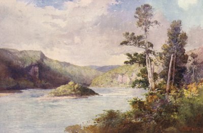 Nový Zéland: Nový Zéland: White Cliffs, Buller River (barevná litografie) od Frank H Wright