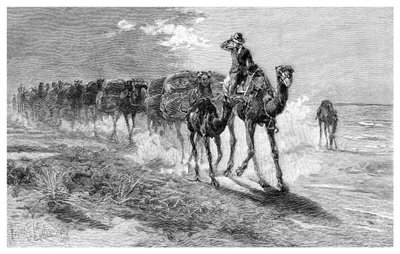 Velbloudi nesoucí vlnu, 1886. od Frank P. Mahony