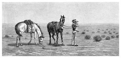 Nic v dohledu, 1886. od Frank P. Mahony