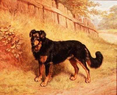 Border kolie od Frank Paton