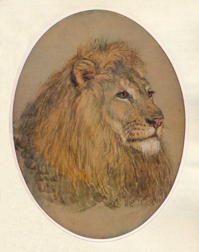 Lví hlava, c1896 od Frank Paton