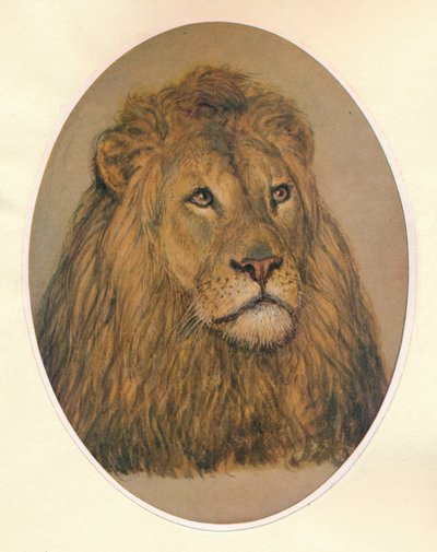 Lví hlava, c1896 od Frank Paton