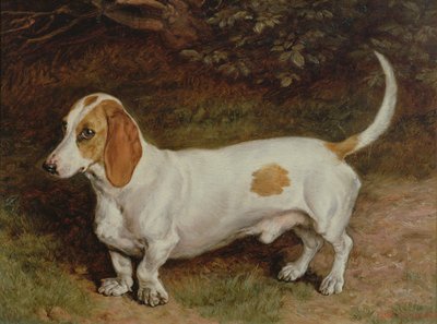 Můj oblíbený jezevčík, 1885 od Frank Paton