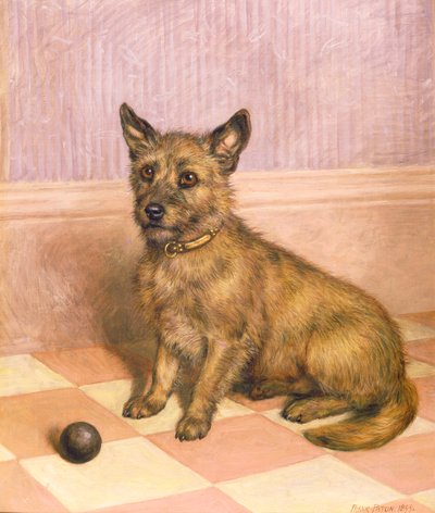 Waiting to Play, Cairn teriér s míčem (olej) od Frank Paton