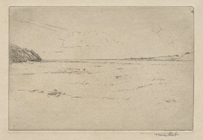 Gathering the Flock na Maxwellbank, č. 2, 1892. od Frank Short