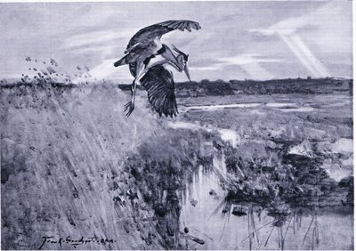 Jack Harnser-Heron od Frank Southgate