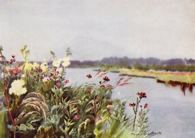 Norfolk Broads: A Bure Bank (barevné lito) od Frank Southgate