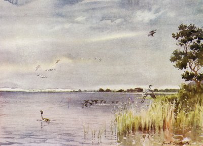 Norfolk Broads: Horsey Mere od Frank Southgate