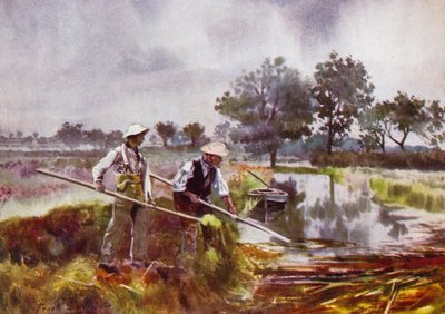 Norfolk Broads: Marshmen Weed-Lifting od Frank Southgate