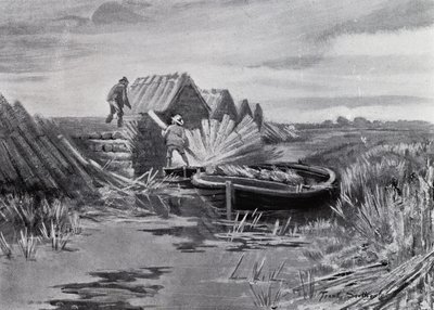 Norfolk Broads: Reed-Stacking (litho) od Frank Southgate