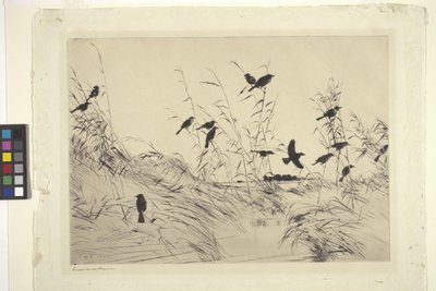 Kosi a nálety (inkoust na papíře) od Frank Weston Benson