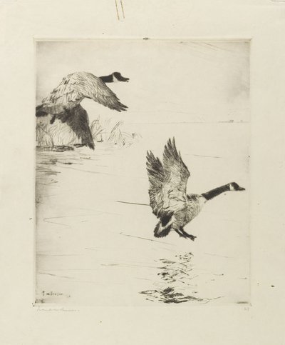 Vystupující husy od Frank Weston Benson