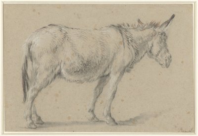 Stojící osel, čelem doprava od François Boucher (possibly)