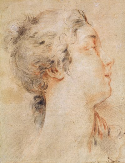 Hlava ženy otočená doprava (černá tužka a sangvinik) od François Boucher