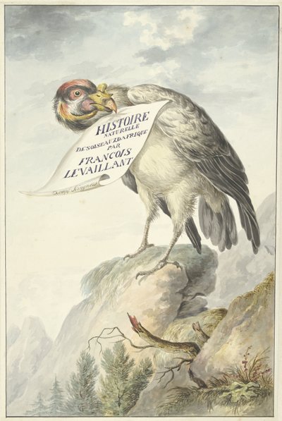Sup chocholatý s listem papíru v zobáku HISTOIRE NATURELLE DES OISEAUX DAFRIQUE (název na objektu) od François Levaillant (circle of)