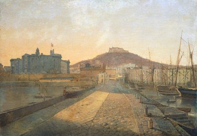 Pohled na Certosa San Martino a pevnost Sant