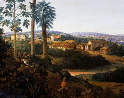 Vesnice Serinhaem v Brazílii aneb domov pěstitele cukrové třtiny v Brazílii (olej na plátně) od Frans Post