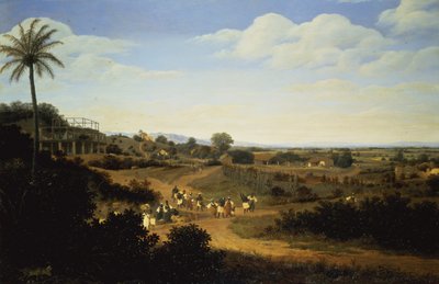 Panoramatický výhled v Brazílii (pár 61466) od Frans Post