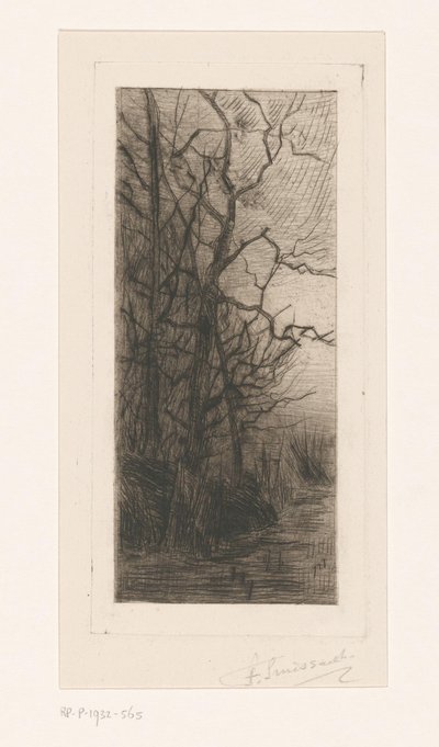 Stromy u vody od Frans Smissaert (signed by artist)
