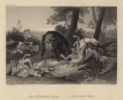 Lov divočáků od Frans Snyders or Snijders