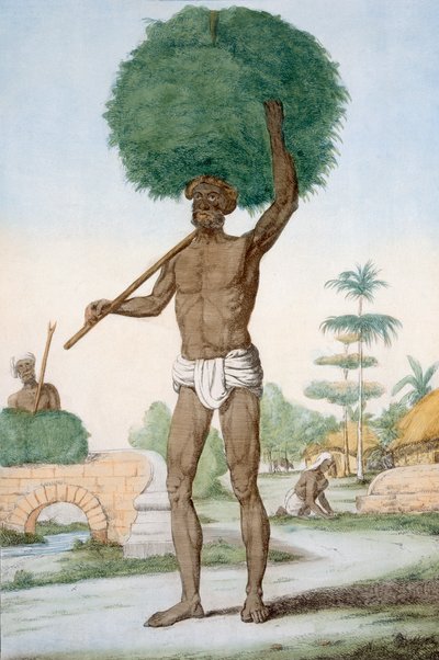 Hinduistický sluha sekání trávy, „Hinduisté nebo popis jejich způsobů, kostýmů a obřadů“, kolem 1808-12 (barevný lept) od Franz Balthazar Solvyns