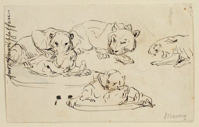 Vrčící Sundapanthers od Franz Barwig d. Ä.