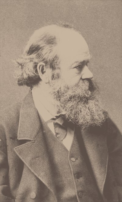 Portrét skladatele Roberta von Hornsteina 1833-1890. od Franz Hanfstaengl