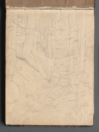 Album s Pohledy na Řím a okolí, Krajinářské studie, strana 01a: Římská krajina. od Franz Johann Heinrich Nadorp