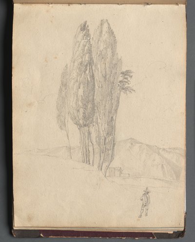 Album s Pohledy na Řím a okolí, Krajinářské studie, strana 20a: Stromy od Franz Johann Heinrich Nadorp