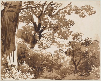 V lese od Franz Kobell