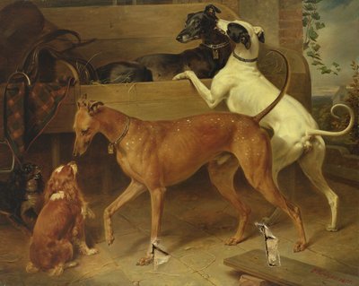 Krugers Dogs, 1855 od Franz Krüger