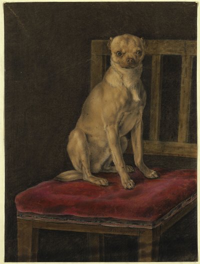 Mops od Franz Krüger
