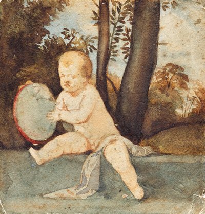 Malý netopýr tamburína od Franz von Matsch