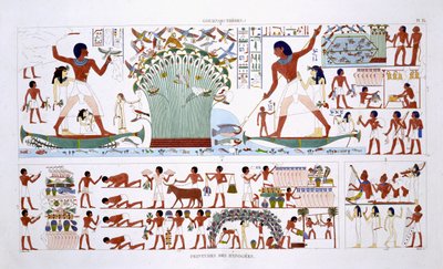 Příprava jídla pro mrtvé, ze vzácného záznamu fresek z Théb, zaznamenaného v letech 1819–1822 při jeho druhé návštěvě Egypta Fredericem Cailliaudem (1787–1869), barva litho od Frederic (after) Cailliaud