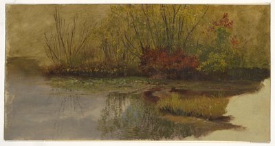 Roh rybníka od Frederic Edwin Church