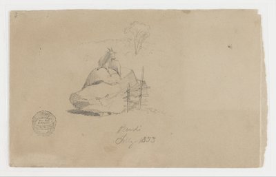 Koza v Pandi, Kolumbie od Frederic Edwin Church