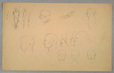 Anatomické studie od Frederic Edwin Church